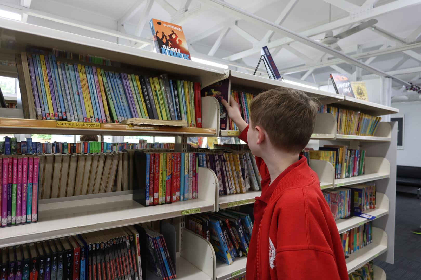 library image.JPG